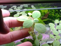 /album/fotogaleria/a2015-02-24-18-33-43-jpg/